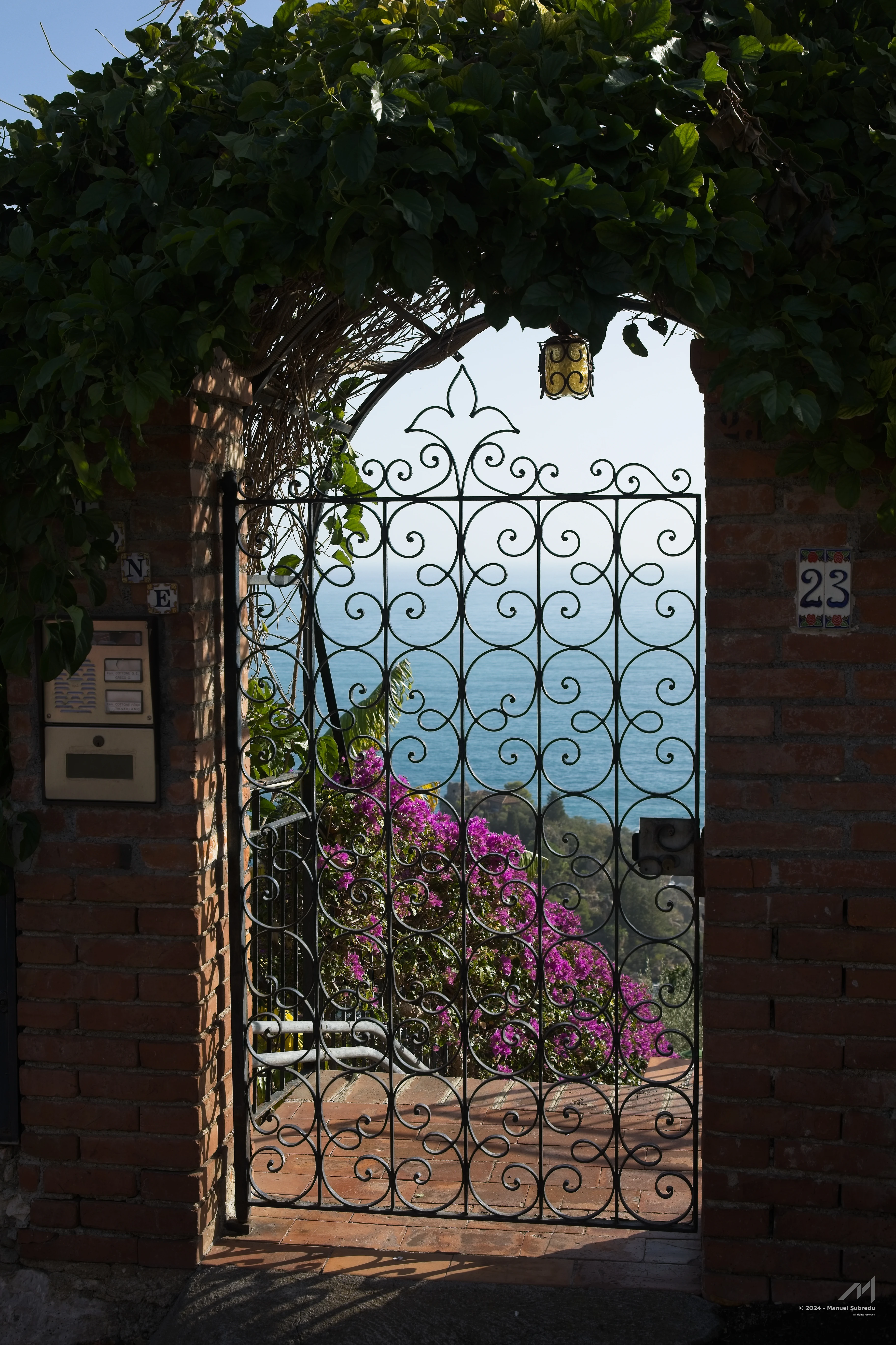The Portal