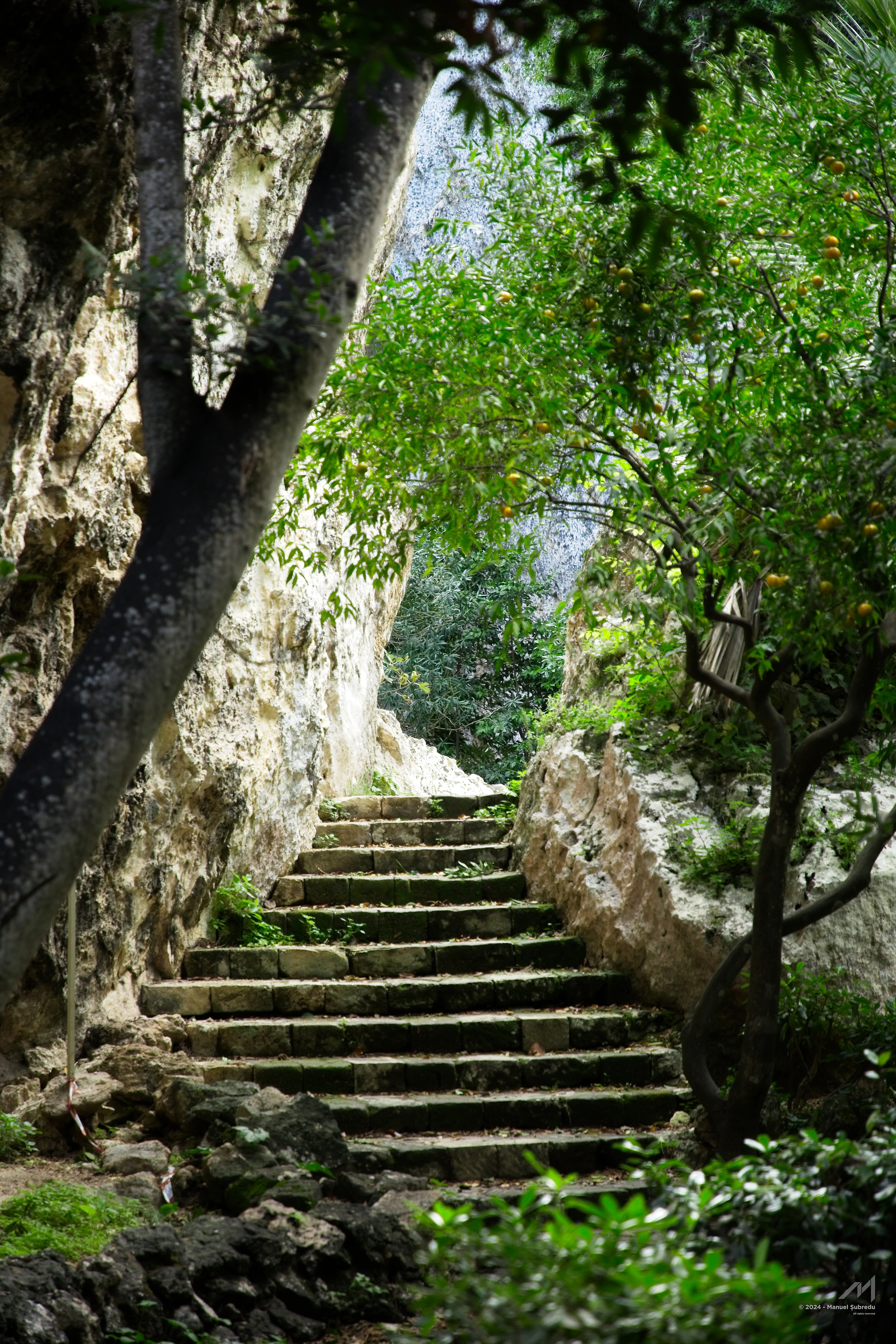 The Secret Stair